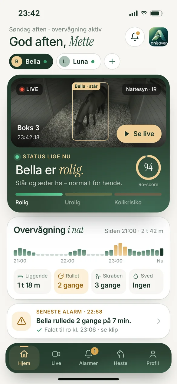 Anisaver — app, logget ind